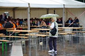 Srečanje Šempetrov 2016 (39)